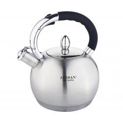 Чайник из нержавеющей стали Zeidan Z-4160 3,2 л (серебристый)