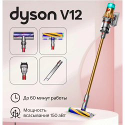 Вертикальный пылесос Dyson V12 Detect Slim Absolute SV46 (448870-01) (золотистый/серебристый)