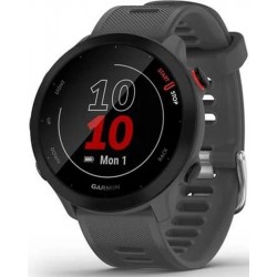 Умные часы Garmin Forerunner 55 42 мм (010-02562-13) (серый/серый)
