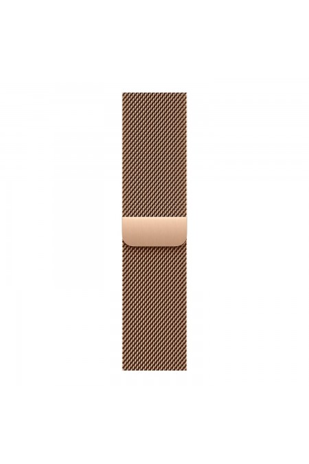 Умные часы Apple Watch Series 11 GPS 42 мм Titanium Case with Milanese Loop (M/L) (золотой/золотой) 1