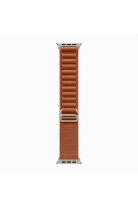 Умные часы Apple Watch Ultra 3 GPS 49 мм Titanium Case with Alpine Loop (M) (натуральный титан/терракотовый) 2
