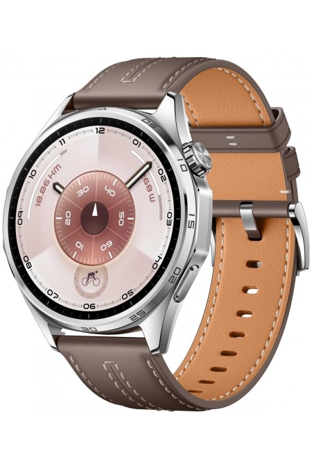 Умные часы HUAWEI Watch GT 6 46 мм (55020FWE) (серый) 