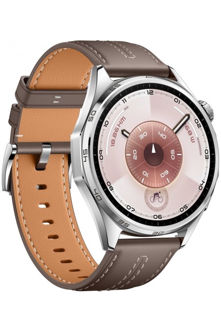 Умные часы HUAWEI Watch GT 6 46 мм (55020FWE) (серый) 1