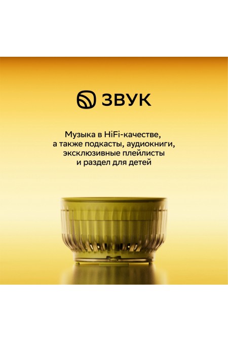 Умная колонка SBER SberBoom Mini 2 SBDV-00250A с голосовым ассистентом Салют и Gigachat (черный) 