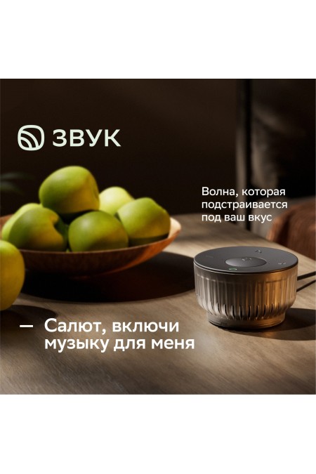 Умная колонка SBER SberBoom Mini 2 SBDV-00250A с голосовым ассистентом Салют и Gigachat (черный) 1