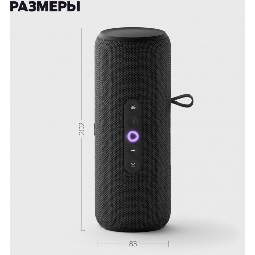 Портативная акустика Яндекс Станция Стрит с Алисой (черный) 14