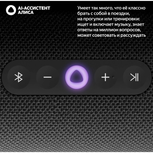 Портативная акустика Яндекс Станция Стрит с Алисой (черный) 1