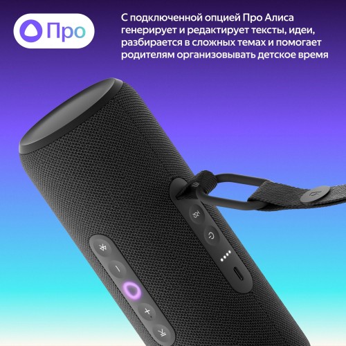 Портативная акустика Яндекс Станция Стрит с Алисой (черный) 4