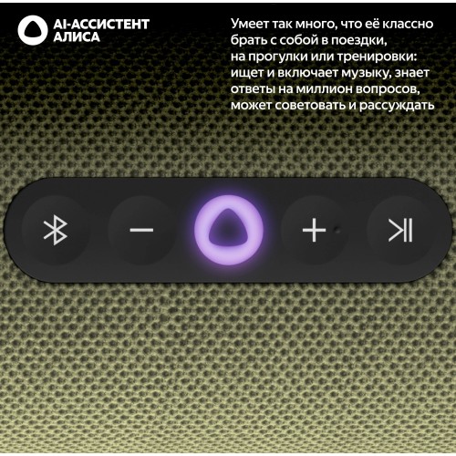 Портативная акустика Яндекс Станция Стрит с Алисой (зеленый) 1