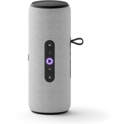Портативная акустика Яндекс Станция Стрит с Алисой (серый)