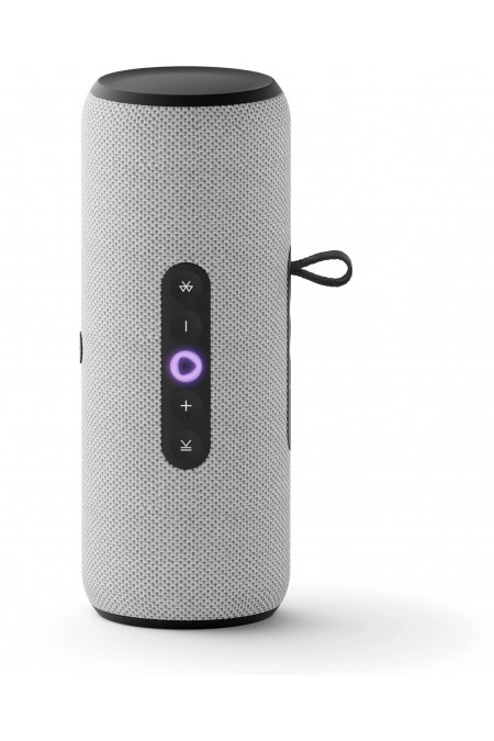 Портативная акустика Яндекс Станция Стрит с Алисой (серый) 