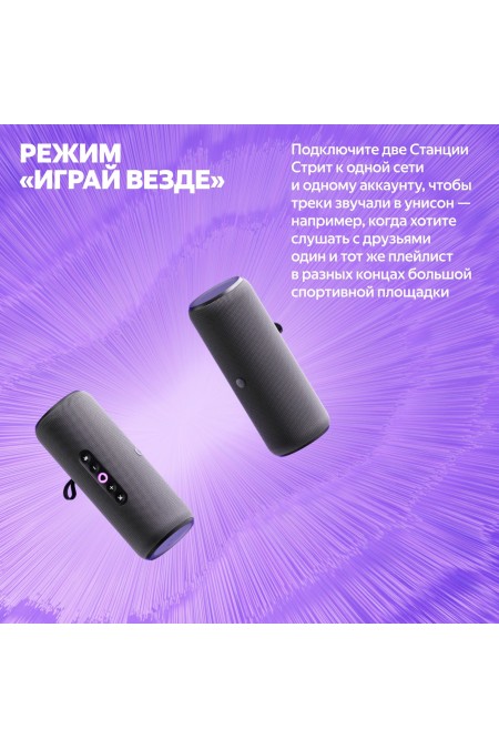 Портативная акустика Яндекс Станция Стрит с Алисой (серый) 12