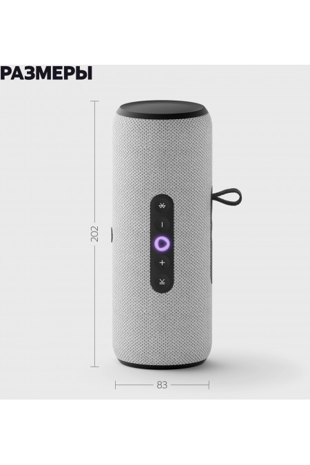 Портативная акустика Яндекс Станция Стрит с Алисой (серый) 18