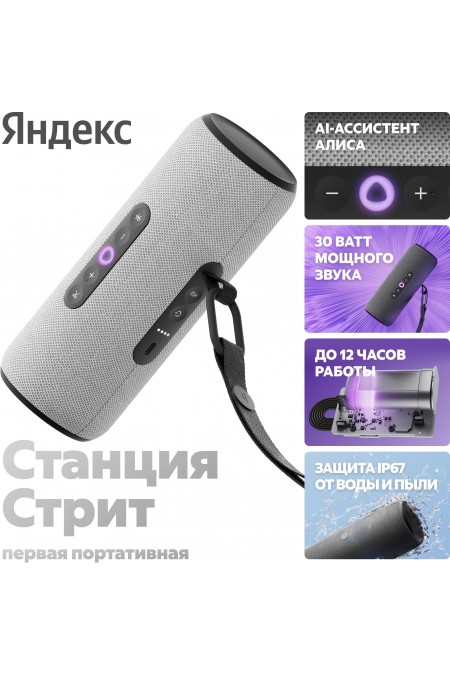 Портативная акустика Яндекс Станция Стрит с Алисой (серый) 3