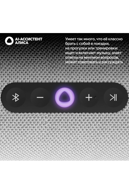 Портативная акустика Яндекс Станция Стрит с Алисой (серый) 5