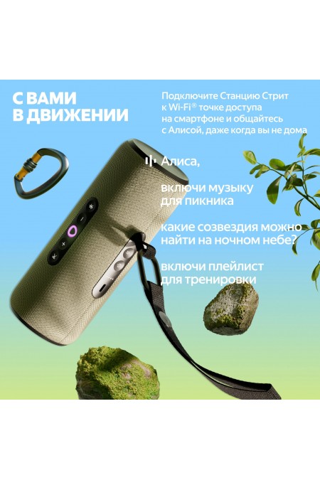 Портативная акустика Яндекс Станция Стрит с Алисой (серый) 6