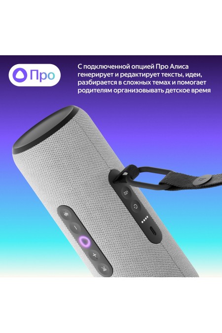 Портативная акустика Яндекс Станция Стрит с Алисой (серый) 8