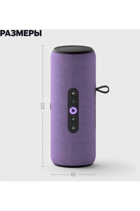 Портативная акустика Яндекс Станция Стрит с Алисой (фиолетовый) 18