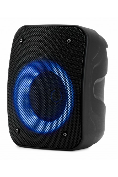 Портативная акустическая система Hyundai H-PS1005 (черный) 1