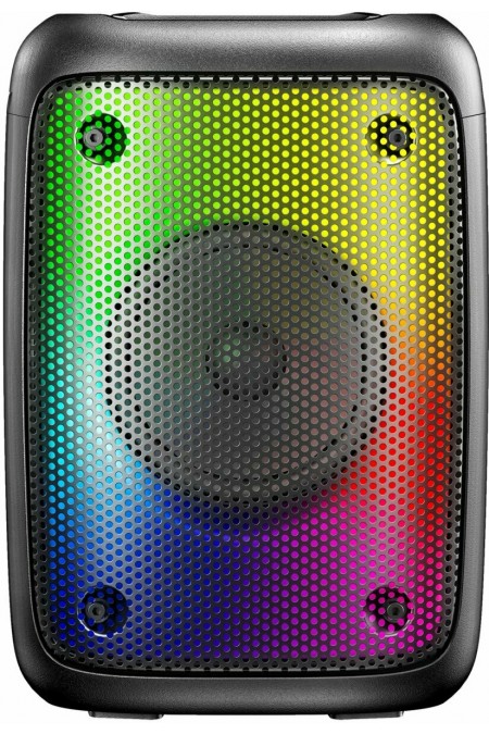 Портативная акустическая система Hyundai H-PS1006 (черный) 