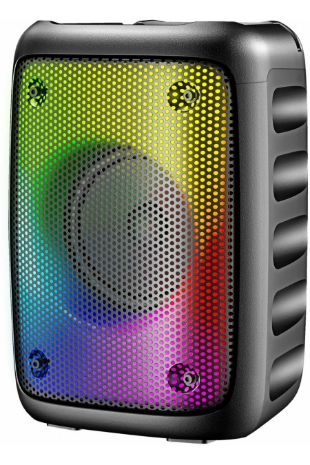 Портативная акустическая система Hyundai H-PS1006 (черный) 3