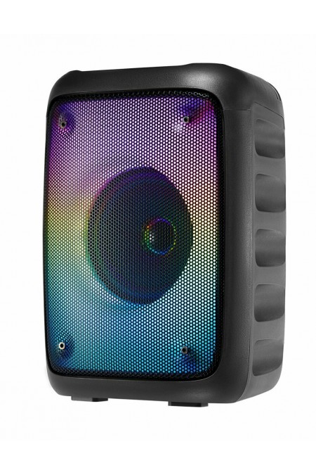 Портативная акустическая система Hyundai H-PS1006 (черный) 4