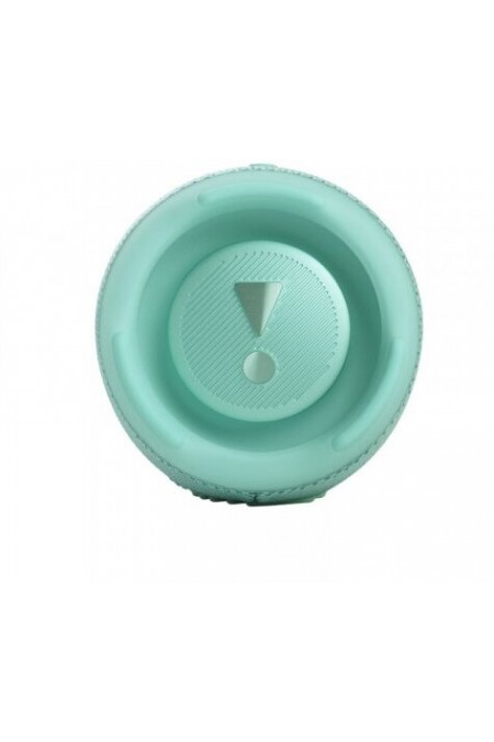 Портативная акустика JBL Charge 5 (бирюзовый) 1