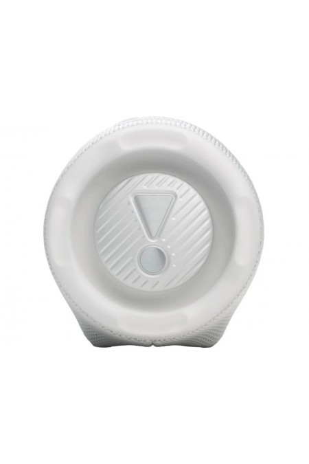 Портативная акустика JBL Charge 6 (белый) 4