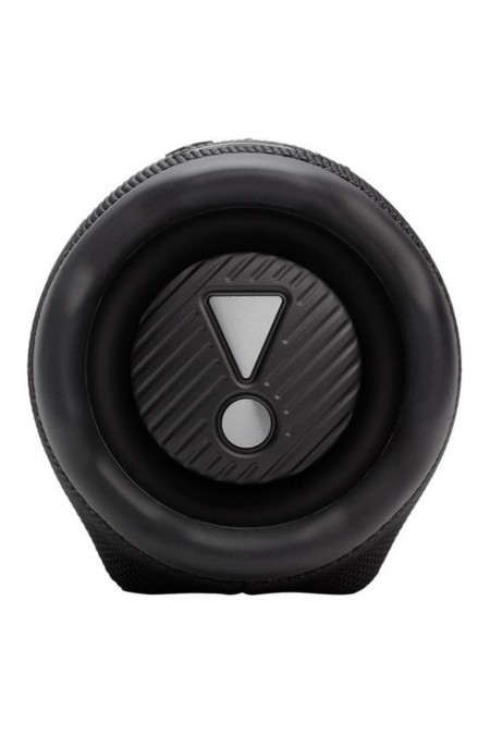 Портативная акустика JBL Charge 6 (черный) 1