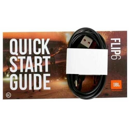 Портативная акустика JBL Flip 6 (серый) 8