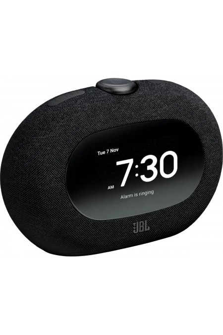 Портативная акустика JBL HORIZON 3 (черный) 1