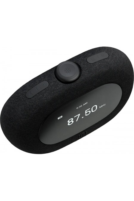 Портативная акустика JBL HORIZON 3 (черный) 3