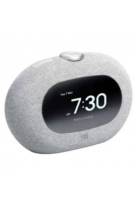 Портативная акустика JBL HORIZON 3 (серый) 1