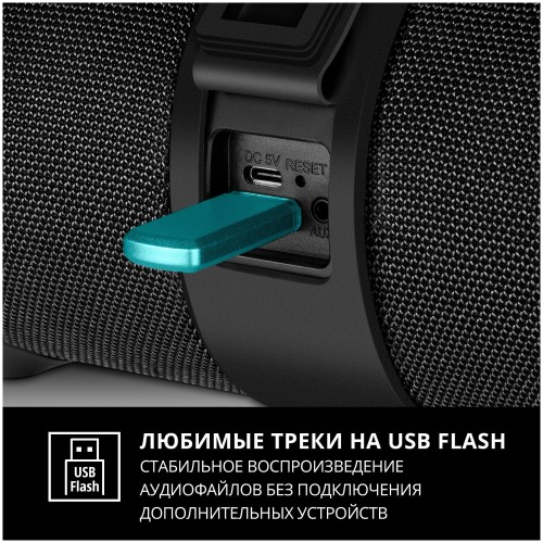 Портативная акустика SVEN PS-340 (SV-021283) (черный) 9