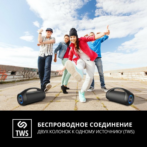 Портативная акустика SVEN PS-370 (SV-020408) (черный) 6