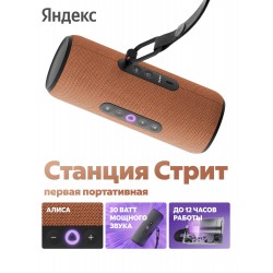 Портативная акустика Яндекс Станция Стрит с Алисой (оранжевый)