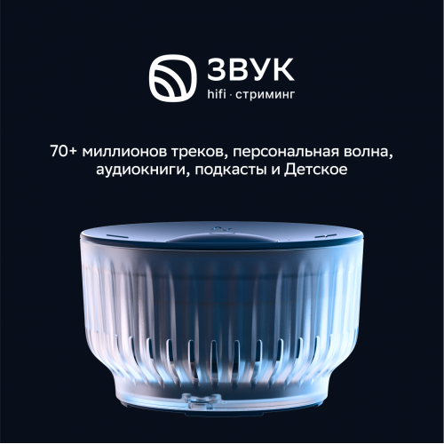 Умная колонка SBER SberBoom Mini 2 SBDV-00250A с голосовым ассистентом Салют и Gigachat (черный) 3