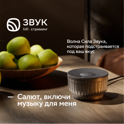 Умная колонка SBER SberBoom Mini 2 SBDV-00250A с голосовым ассистентом Салют и Gigachat (черный) 4