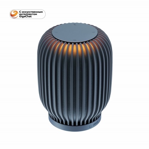 Умная колонка SBER SberBoom SBDV-00090S Салют (темно-серый) 