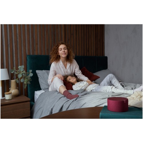 Умная колонка Яндекс Станция Мини (без часов) - с Алисой на YandexGPT (красный гранат) 5