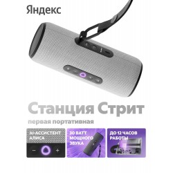Портативная акустика Яндекс Станция Стрит с Алисой (серый)