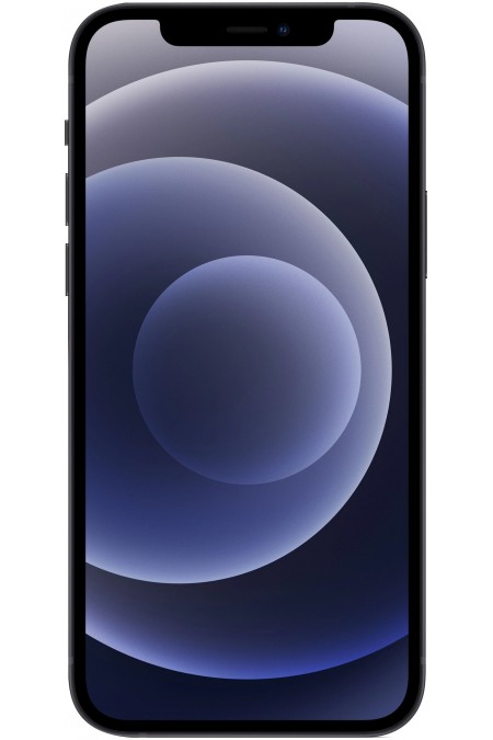 Смартфон Apple iPhone 12 256GB Black (черный) 1