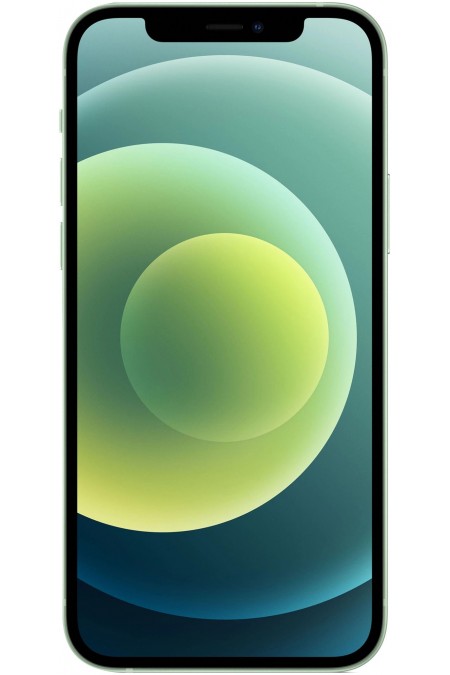 Смартфон Apple iPhone 12 64GB Green (зеленый) 1