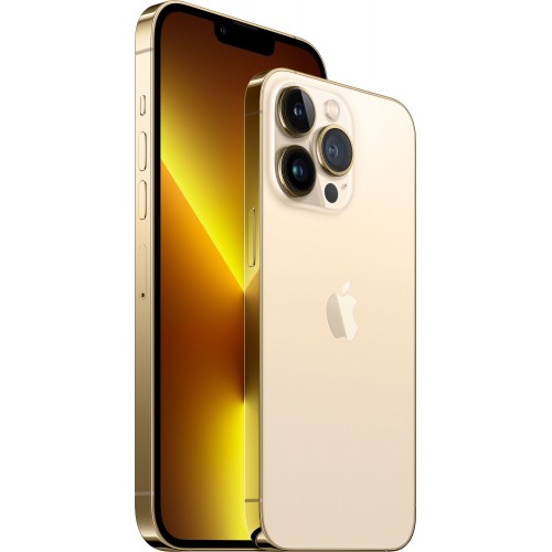 Смартфон Apple iPhone 13 Pro 1TB Gold (золотой) 3