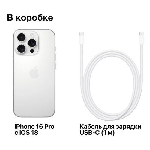 Смартфон Apple iPhone 16 Pro 256GB Dual nano SIM White Titanium (белый титан) 8