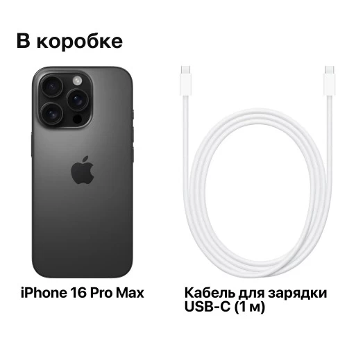 Смартфон Apple iPhone 16 Pro Max 256GB Black Titanium (черный титан) 8