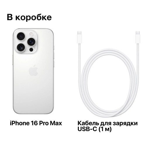 Смартфон Apple iPhone 16 Pro Max 256GB Dual nano SIM White Titanium (белый титан) 8