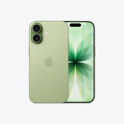 Смартфон Apple iPhone 17 256GB eSIM Sage (шалфей)