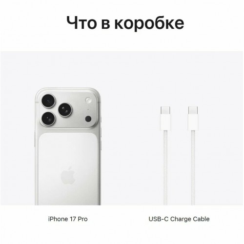 Смартфон Apple iPhone 17 Pro 1TB Dual nano SIM Silver (серебристый) 3