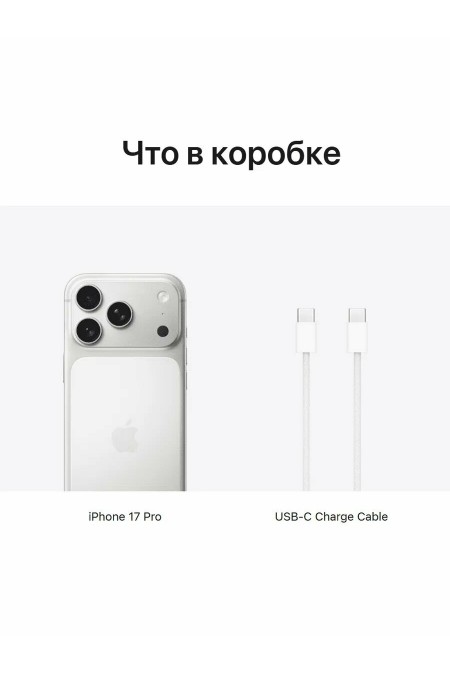 Смартфон Apple iPhone 17 Pro 1TB eSIM Silver (серебристый) 5